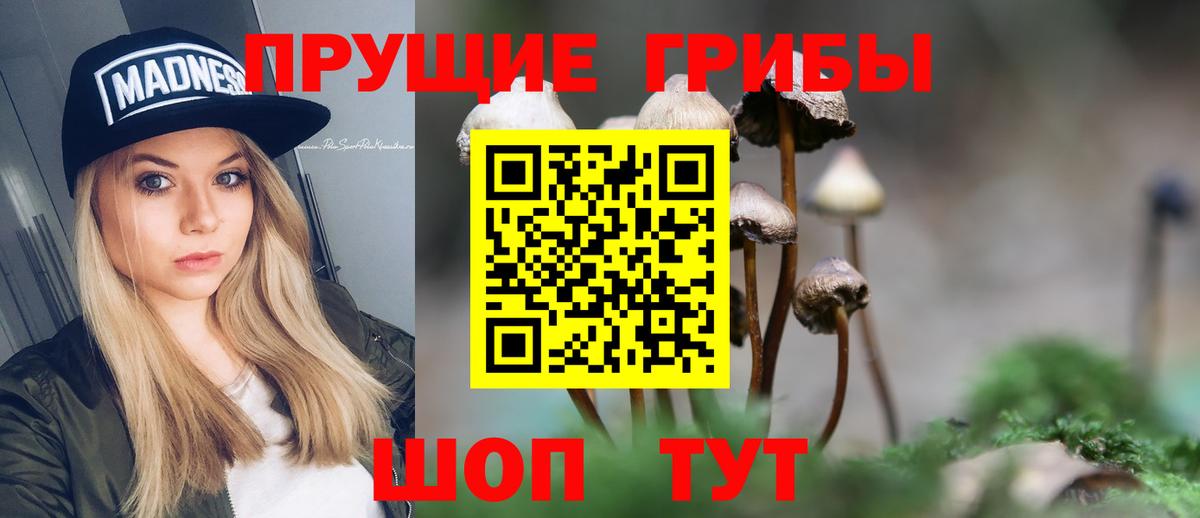 Псилоцибиновые грибы мицелий  Вход с VPN  Кропоткин 